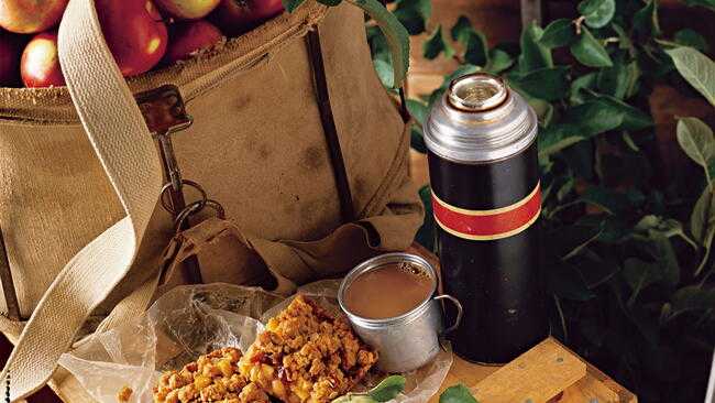 Fresh Apple Crumble Bars